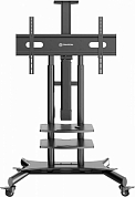 Стойка мобильная ONKRON TS1881 Elift, черная