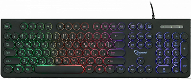 Клавиатура GEMBIRD KB-240L, USB, черная
