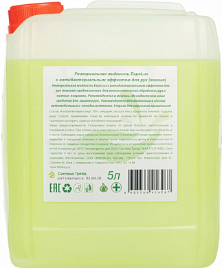 Средство дезинфицирующее ЕвроLux, канистра, 5 л