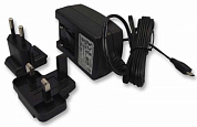 Сетевое зарядное устройство RASPBERRY 909-8135, Micro USB, черное