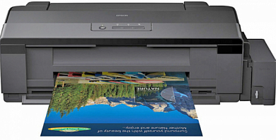Принтер EPSON L1800, струйный, A3+, черный (C11CD82402)