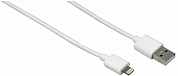 Кабель Apple Lightning - USB Am, HAMA H-173863, 1 м, белый